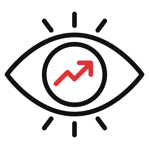 vision